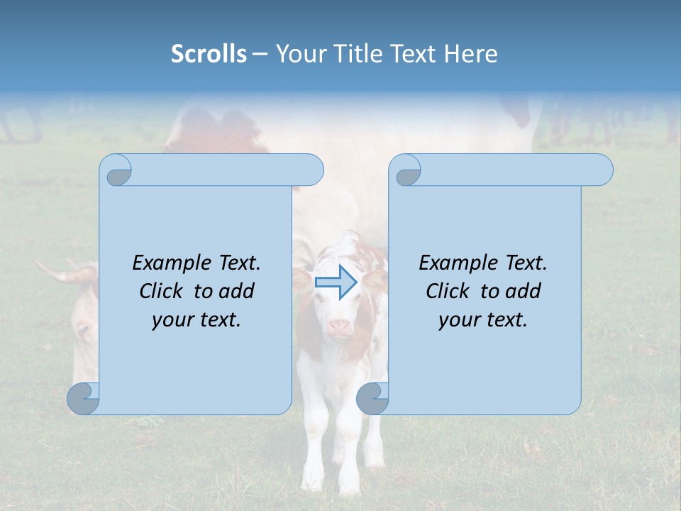 Cow And Calf PowerPoint Template