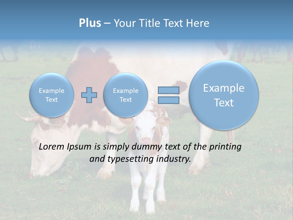 Cow And Calf PowerPoint Template