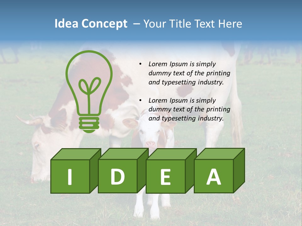 Cow And Calf PowerPoint Template