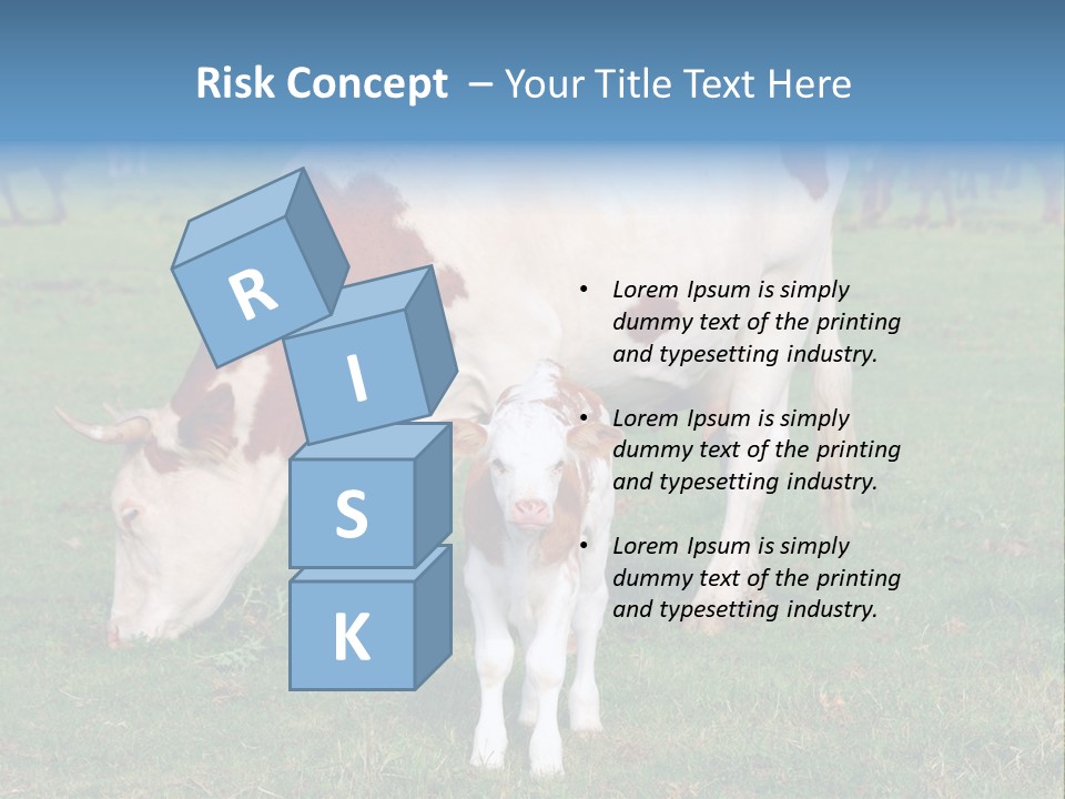 Cow And Calf PowerPoint Template