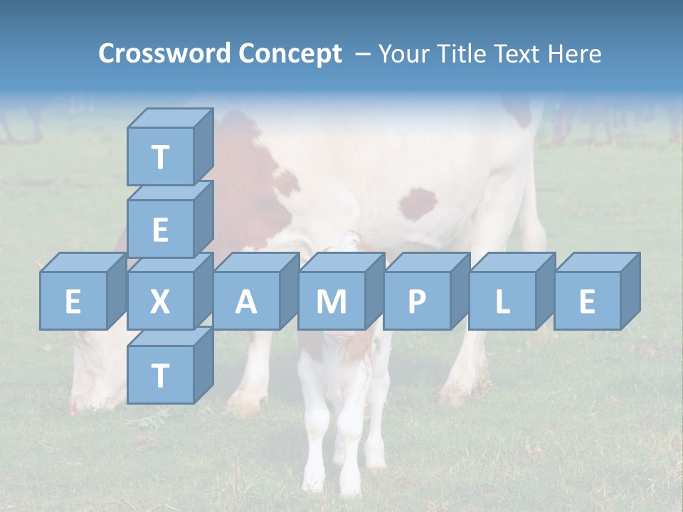 Cow And Calf PowerPoint Template