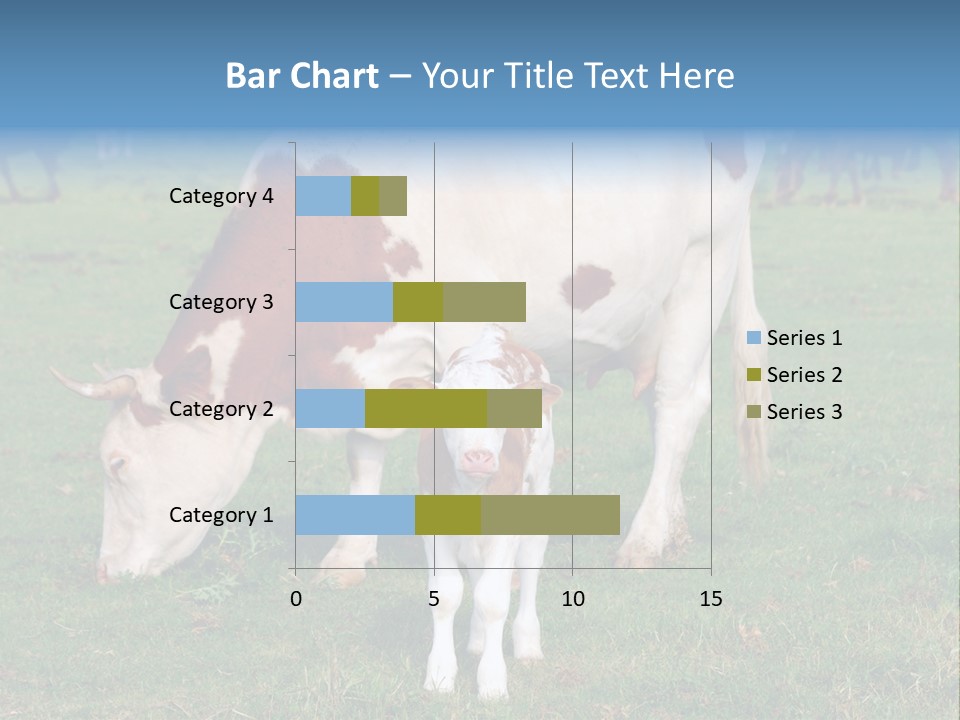Cow And Calf PowerPoint Template