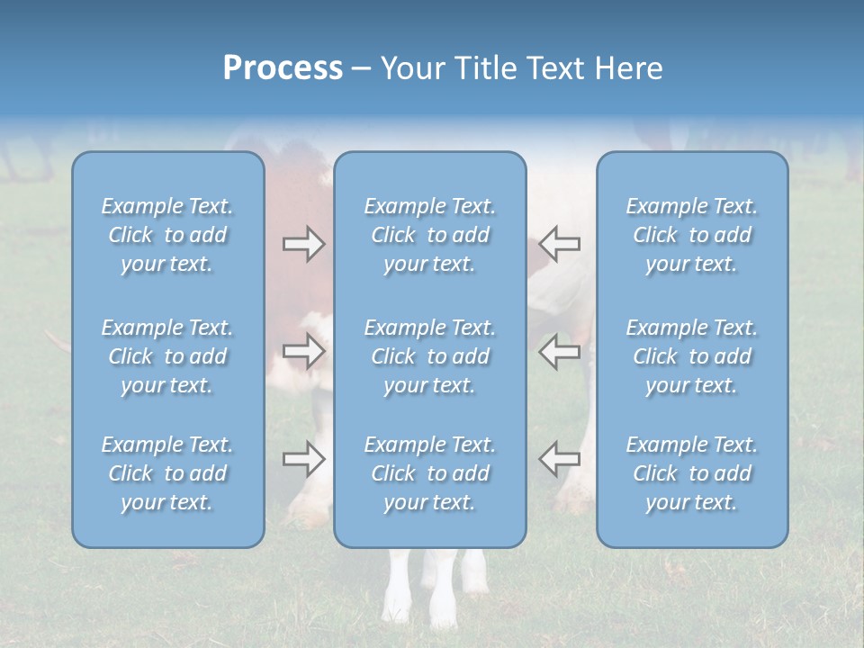Cow And Calf PowerPoint Template