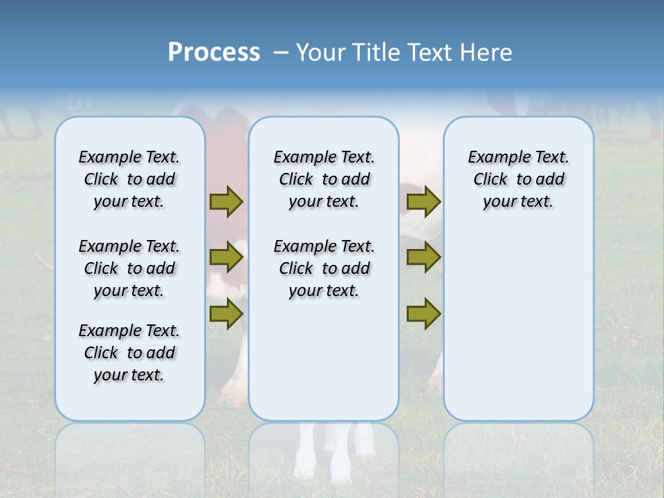 Cow And Calf PowerPoint Template