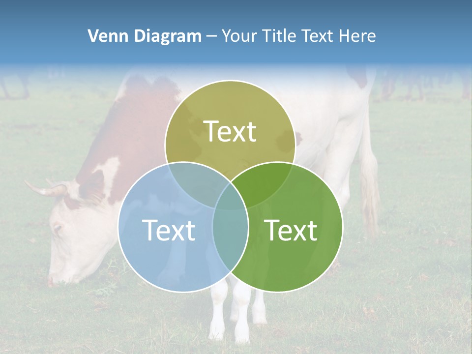 Cow And Calf PowerPoint Template