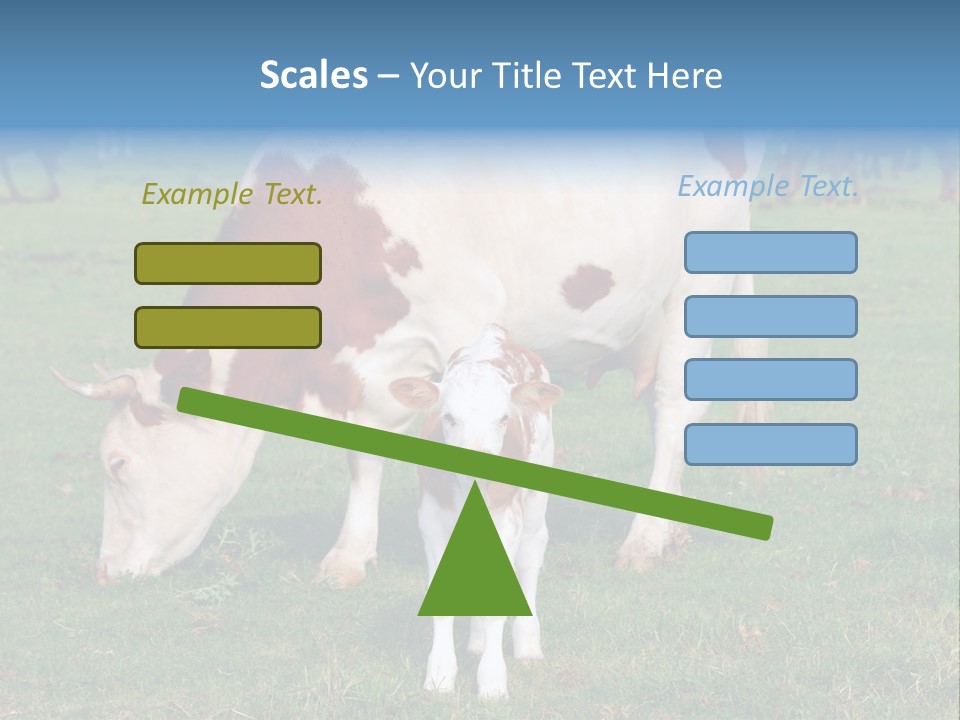 Cow And Calf PowerPoint Template