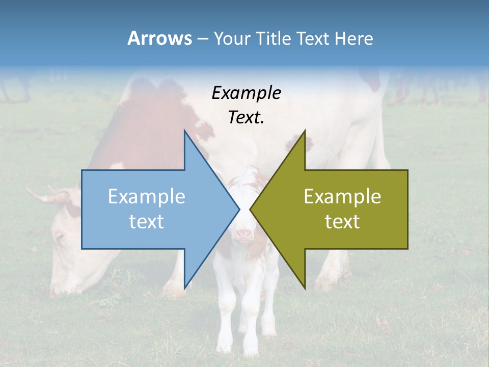 Cow And Calf PowerPoint Template