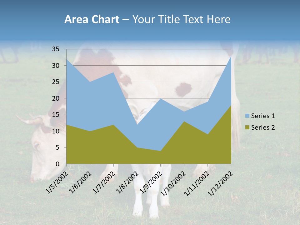 Cow And Calf PowerPoint Template