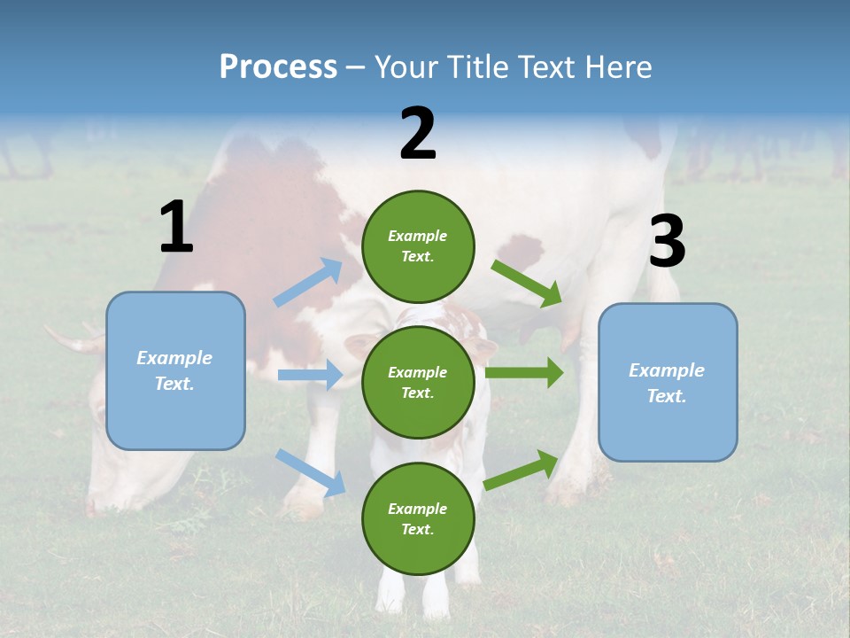 Cow And Calf PowerPoint Template