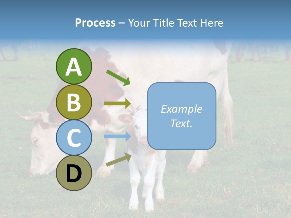 Cow And Calf PowerPoint Template