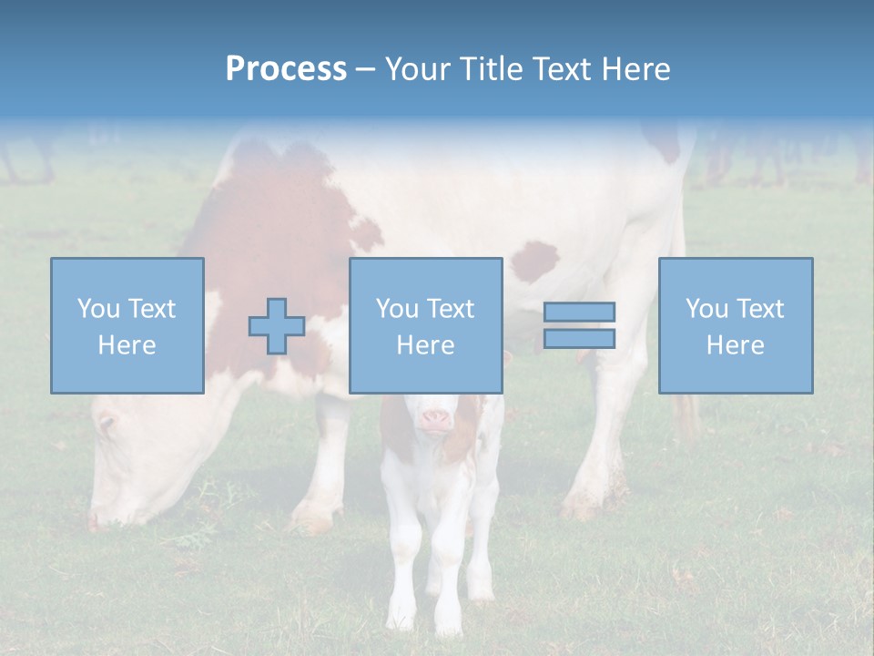 Cow And Calf PowerPoint Template