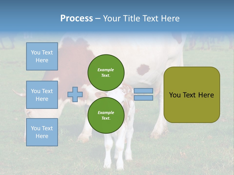 Cow And Calf PowerPoint Template