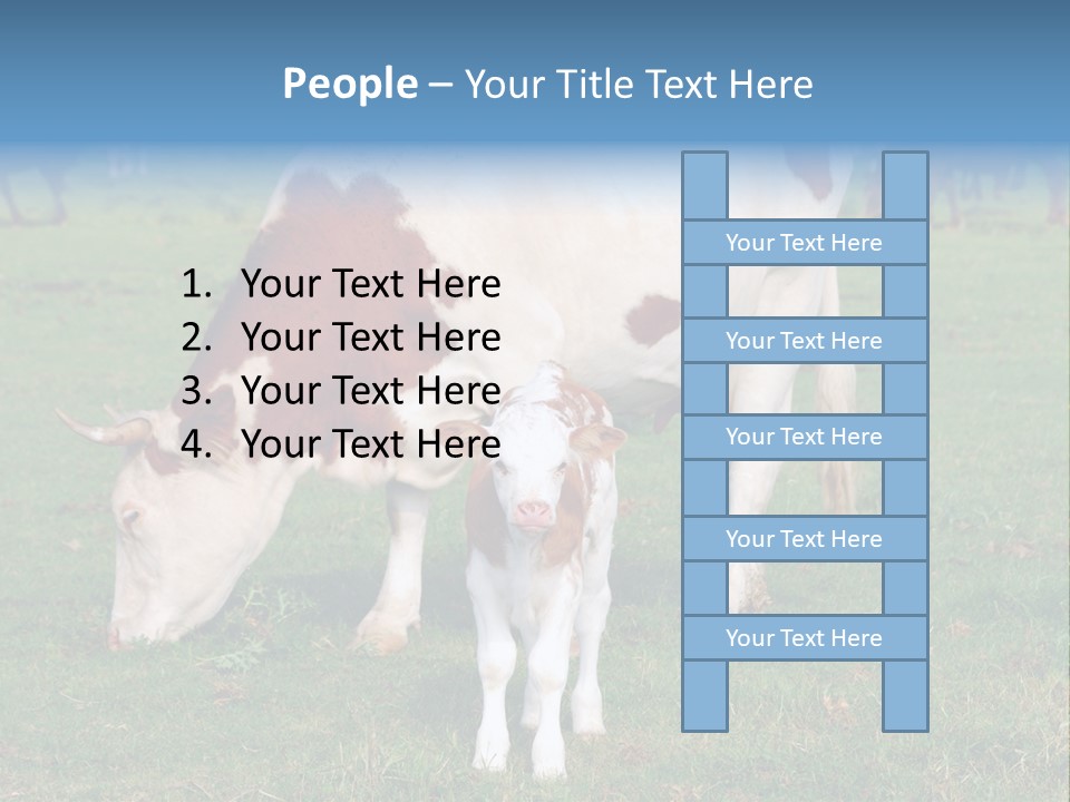 Cow And Calf PowerPoint Template