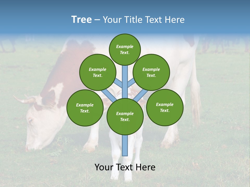 Cow And Calf PowerPoint Template