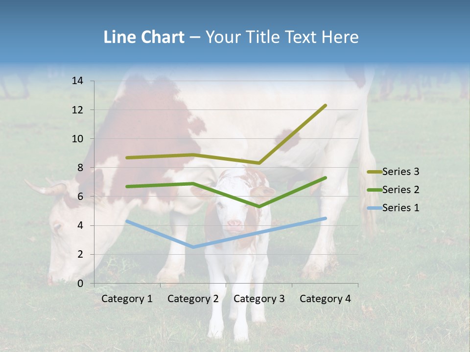 Cow And Calf PowerPoint Template
