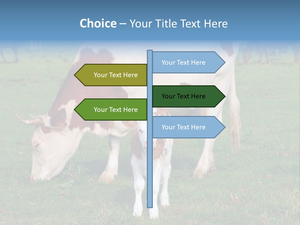Cow And Calf PowerPoint Template