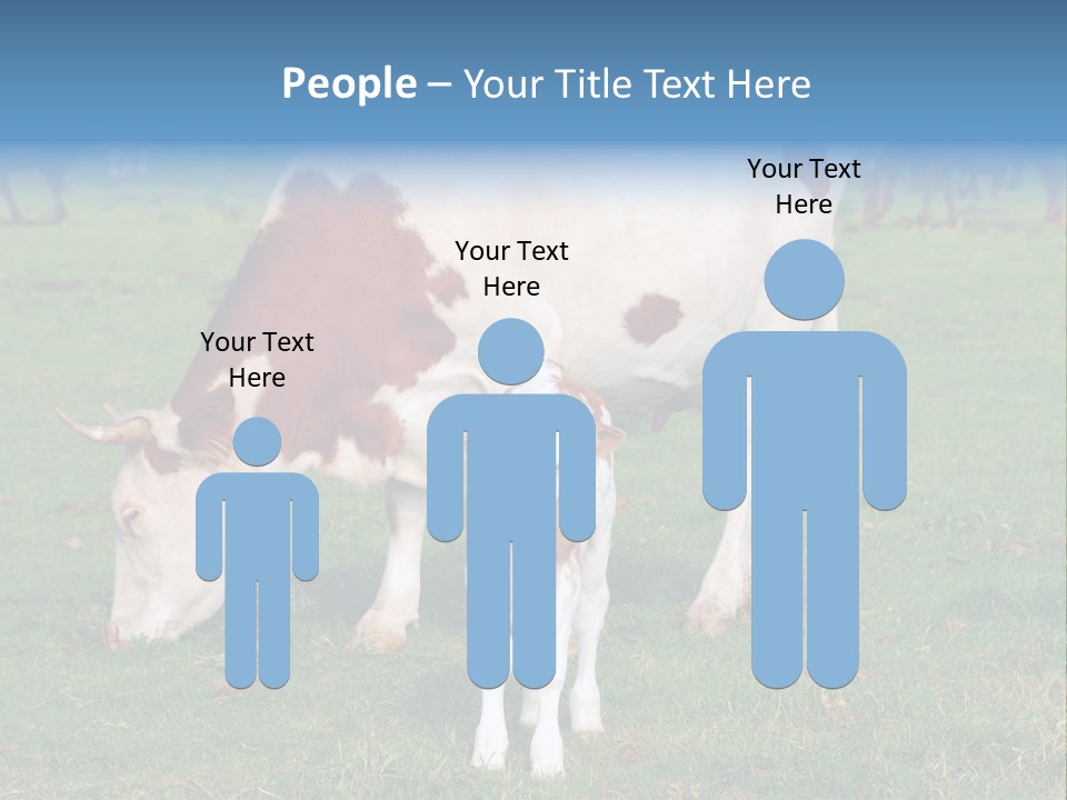 Cow And Calf PowerPoint Template