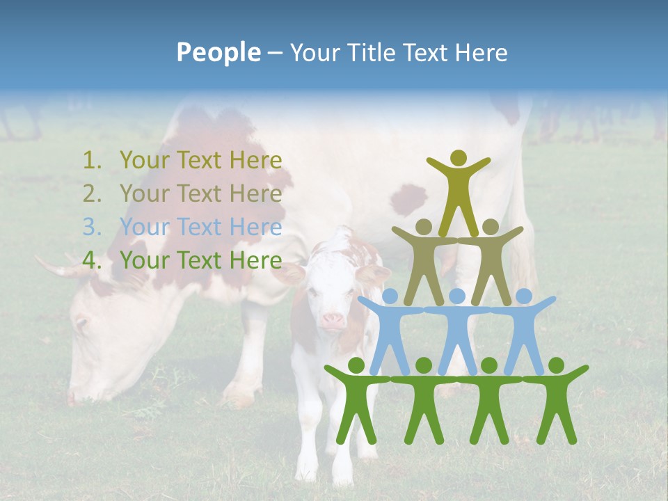 Cow And Calf PowerPoint Template