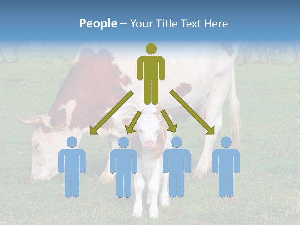 Cow And Calf PowerPoint Template