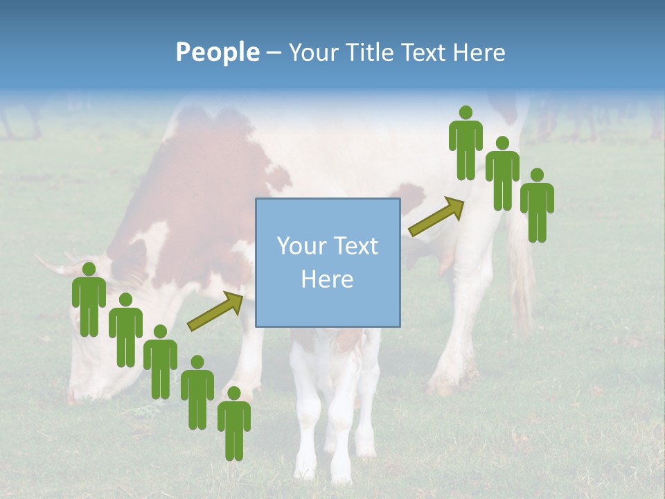 Cow And Calf PowerPoint Template