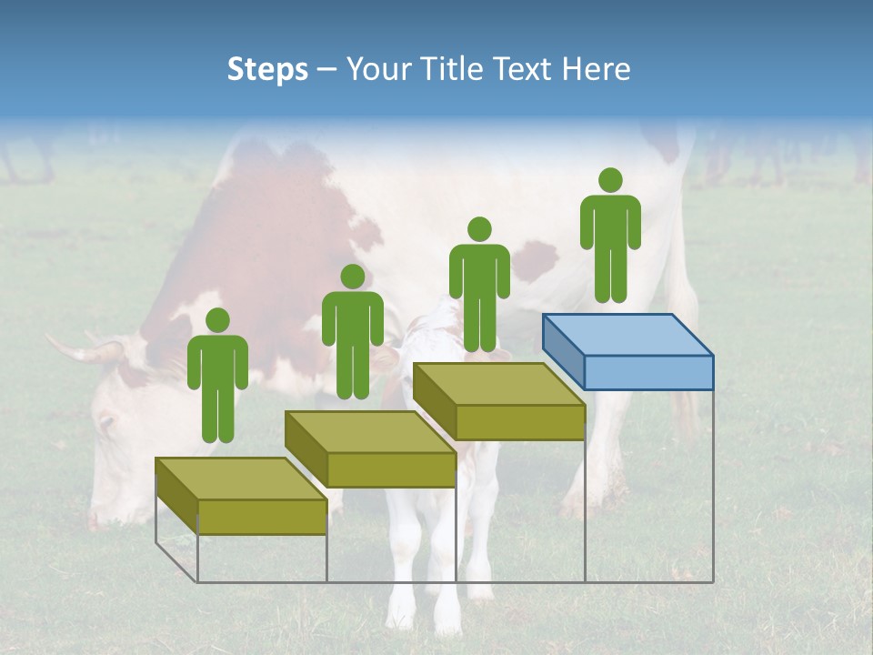 Cow And Calf PowerPoint Template