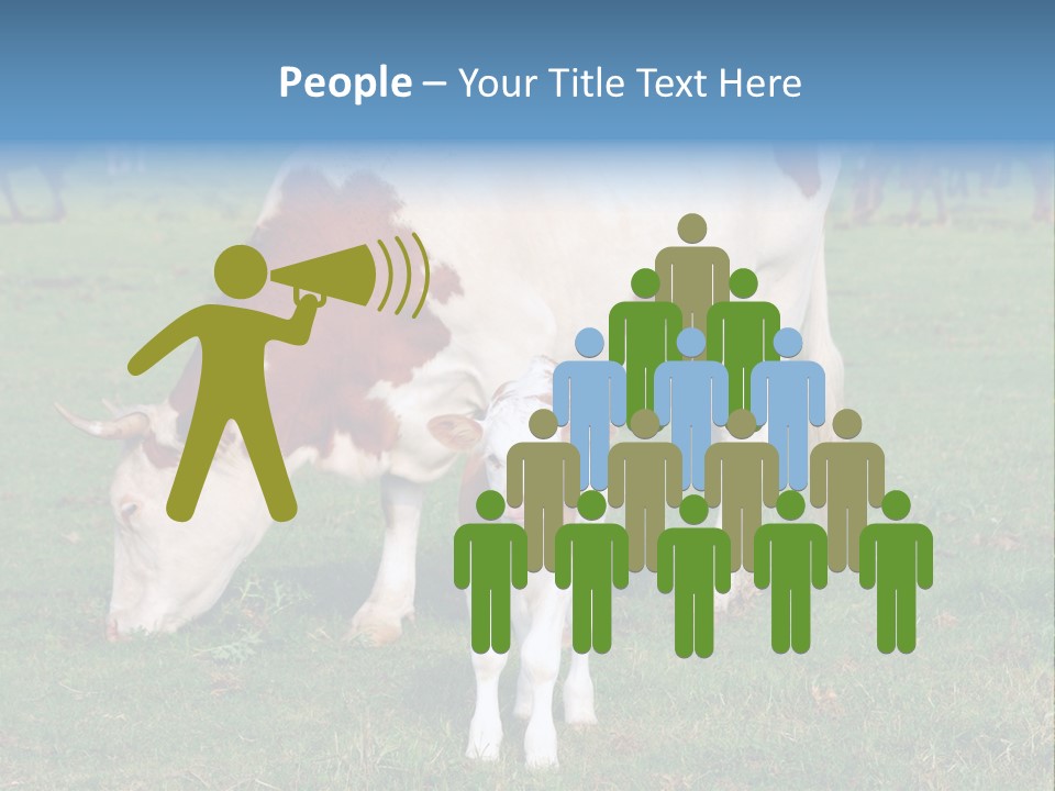 Cow And Calf PowerPoint Template