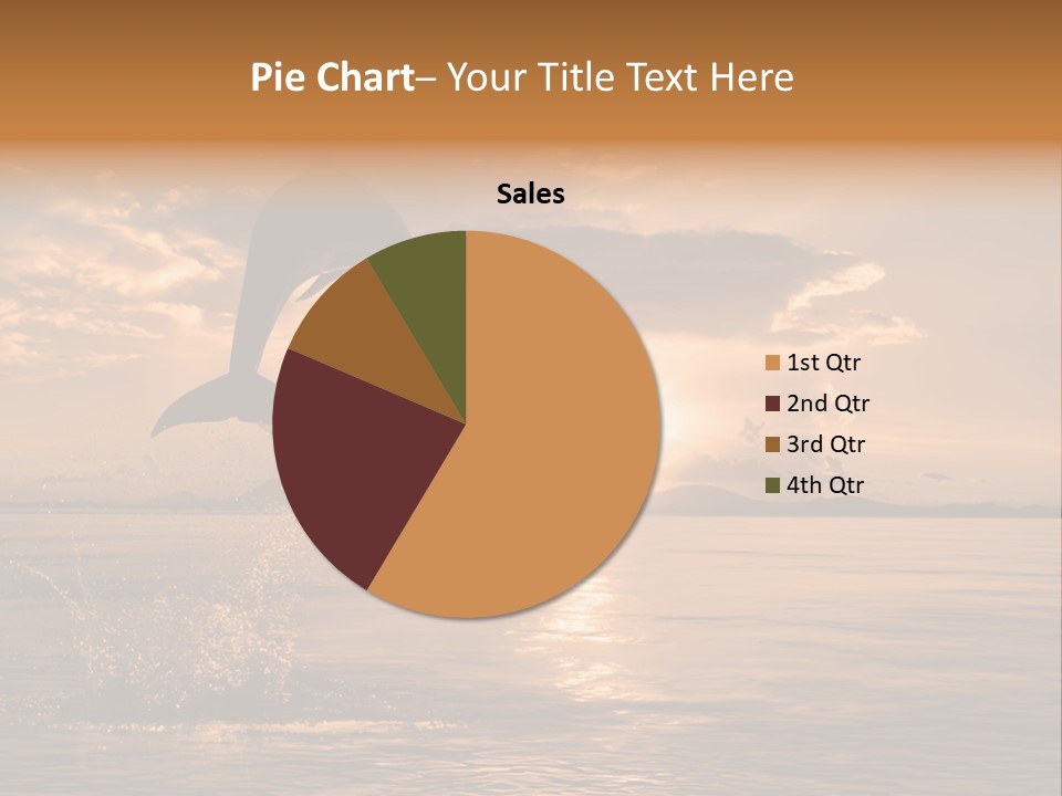 Dolphin PowerPoint Template