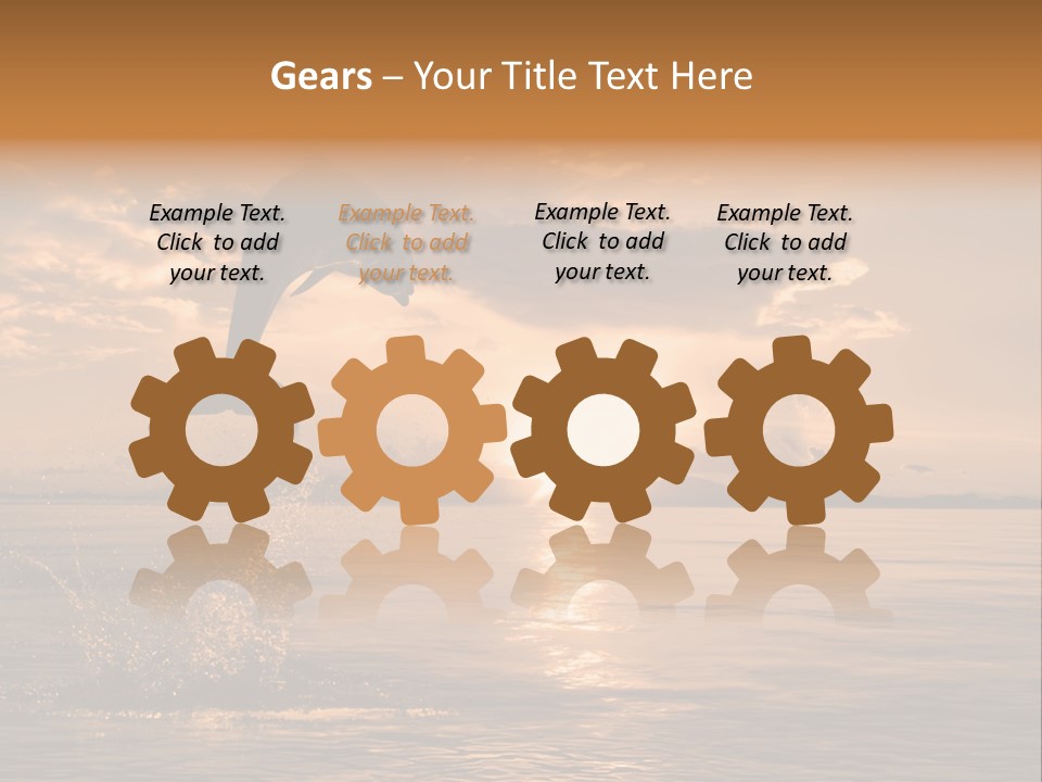 Dolphin PowerPoint Template