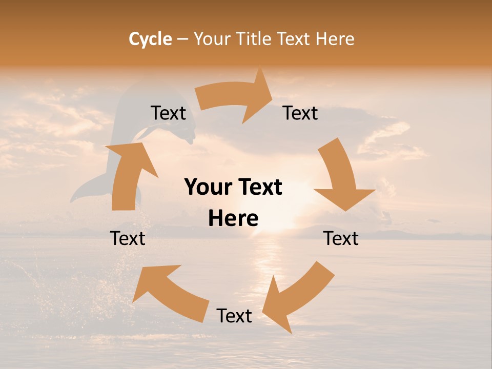 Dolphin PowerPoint Template
