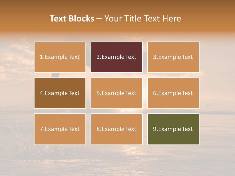Dolphin PowerPoint Template