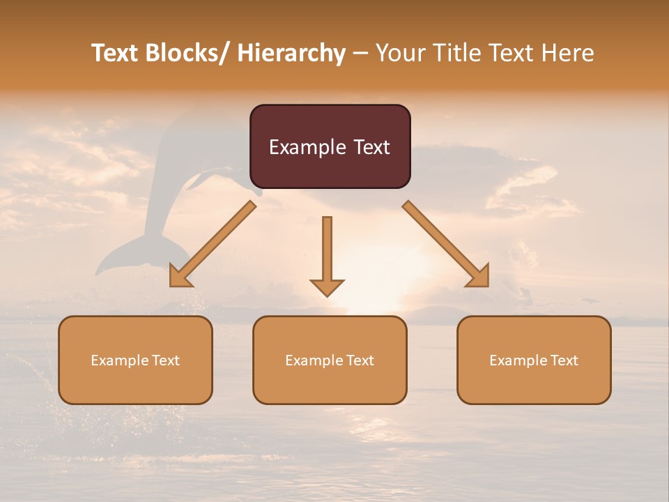 Dolphin PowerPoint Template
