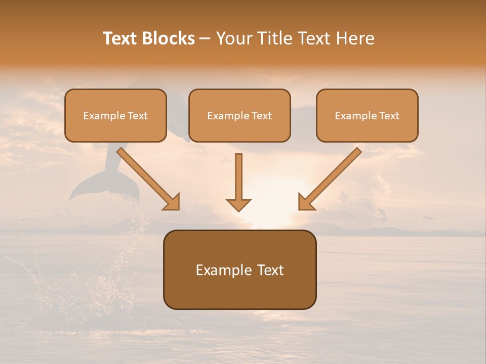 Dolphin PowerPoint Template