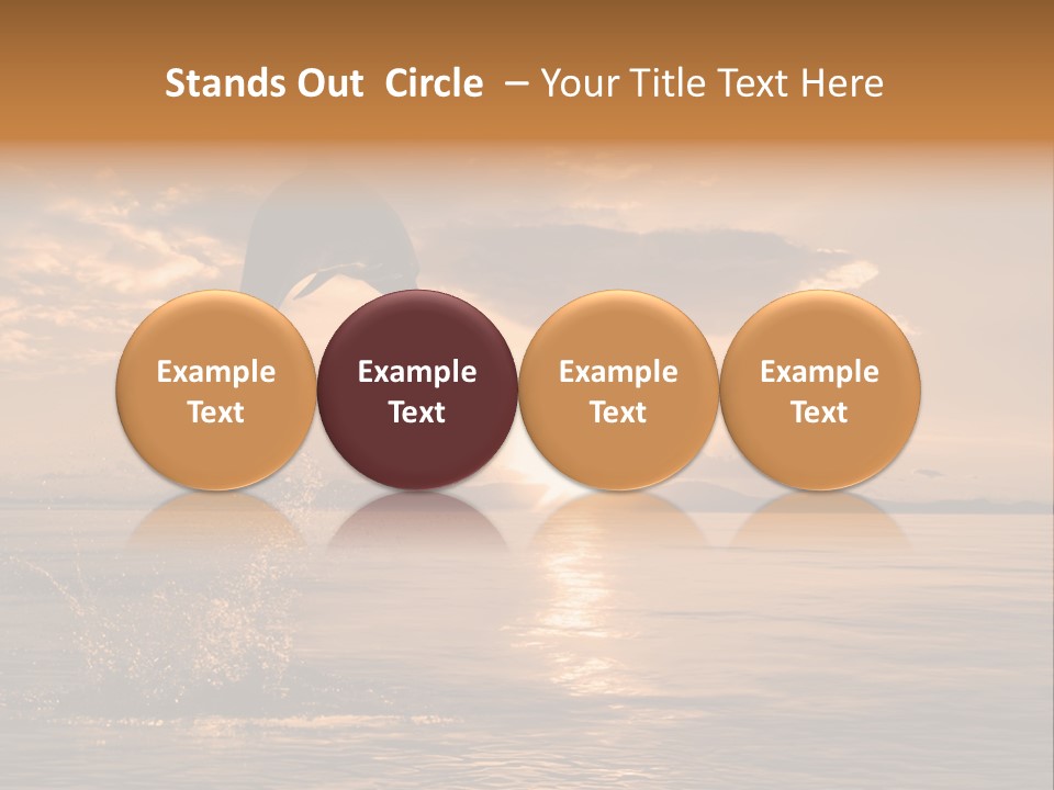 Dolphin PowerPoint Template