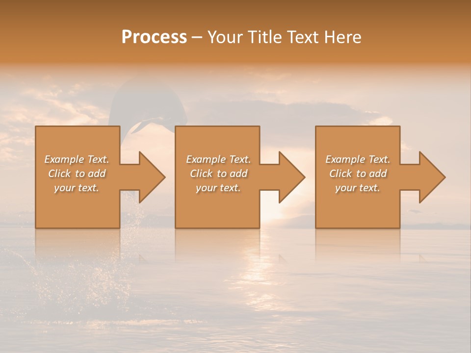 Dolphin PowerPoint Template
