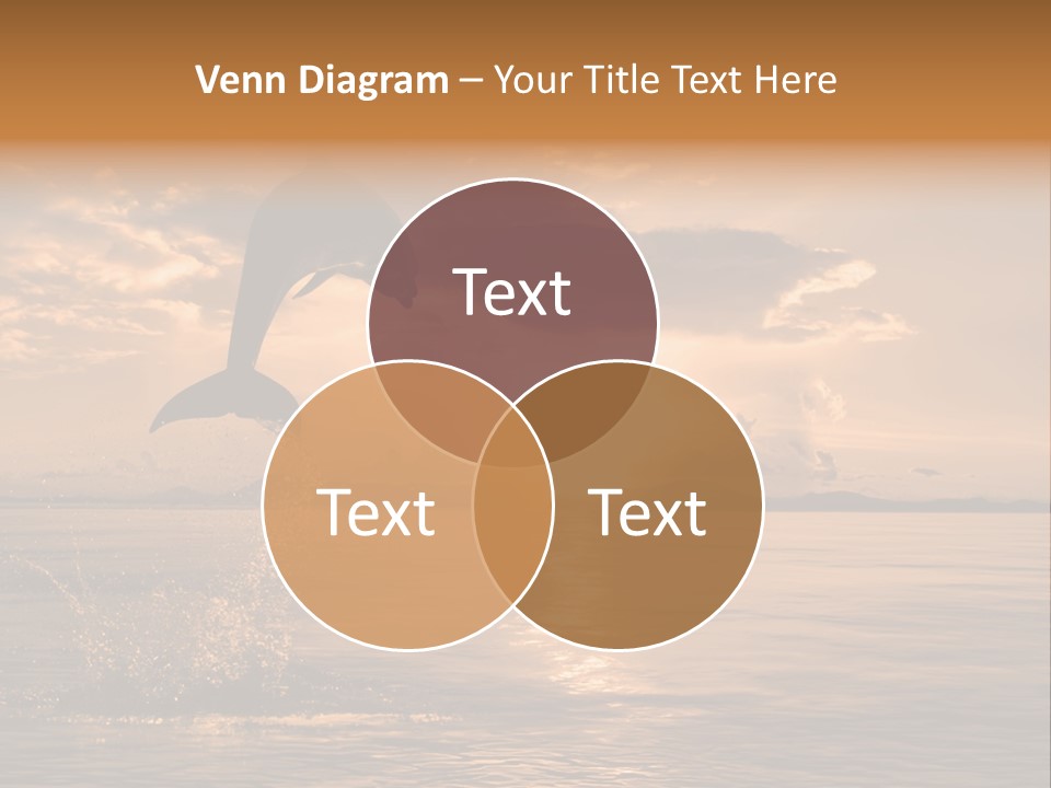 Dolphin PowerPoint Template