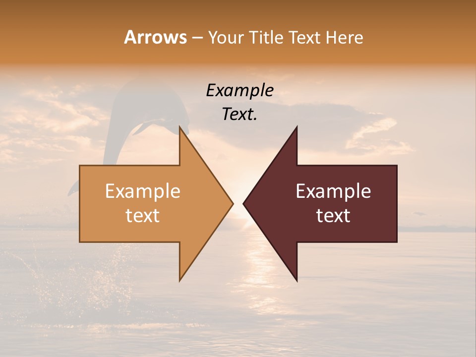 Dolphin PowerPoint Template