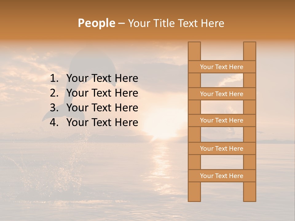 Dolphin PowerPoint Template