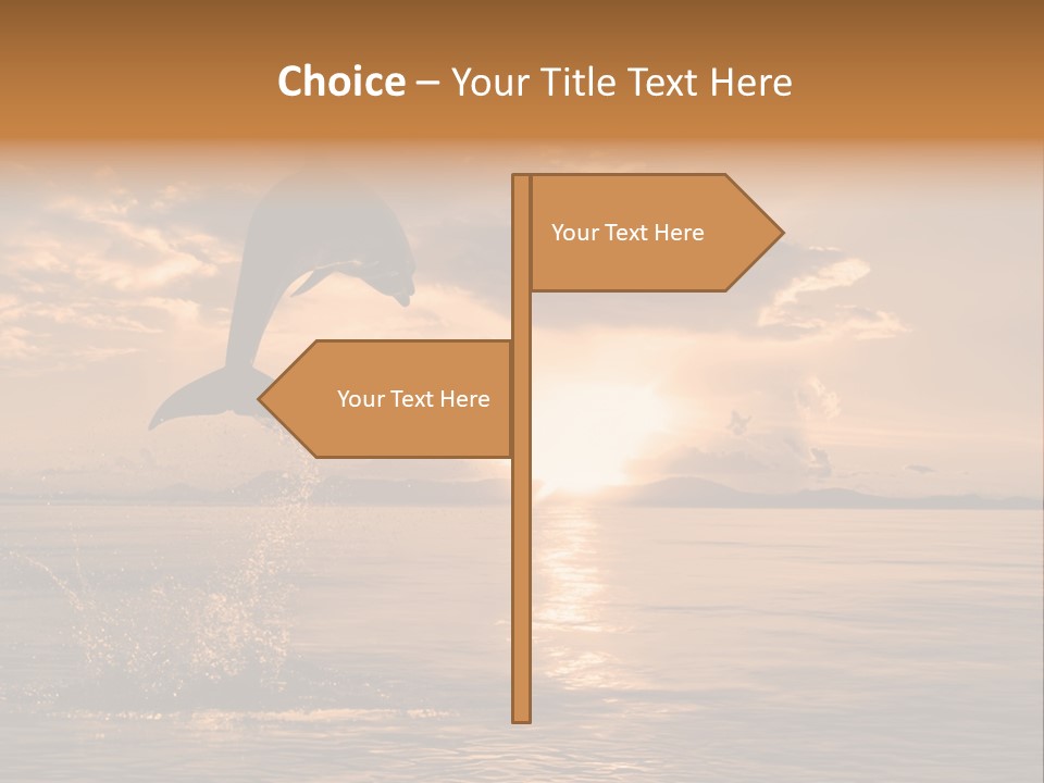 Dolphin PowerPoint Template