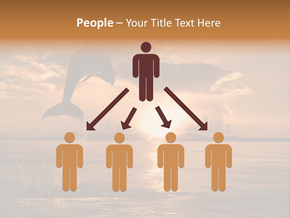 Dolphin PowerPoint Template