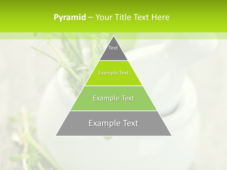 A Mortar With A Sprig Of Herbs In It PowerPoint Template