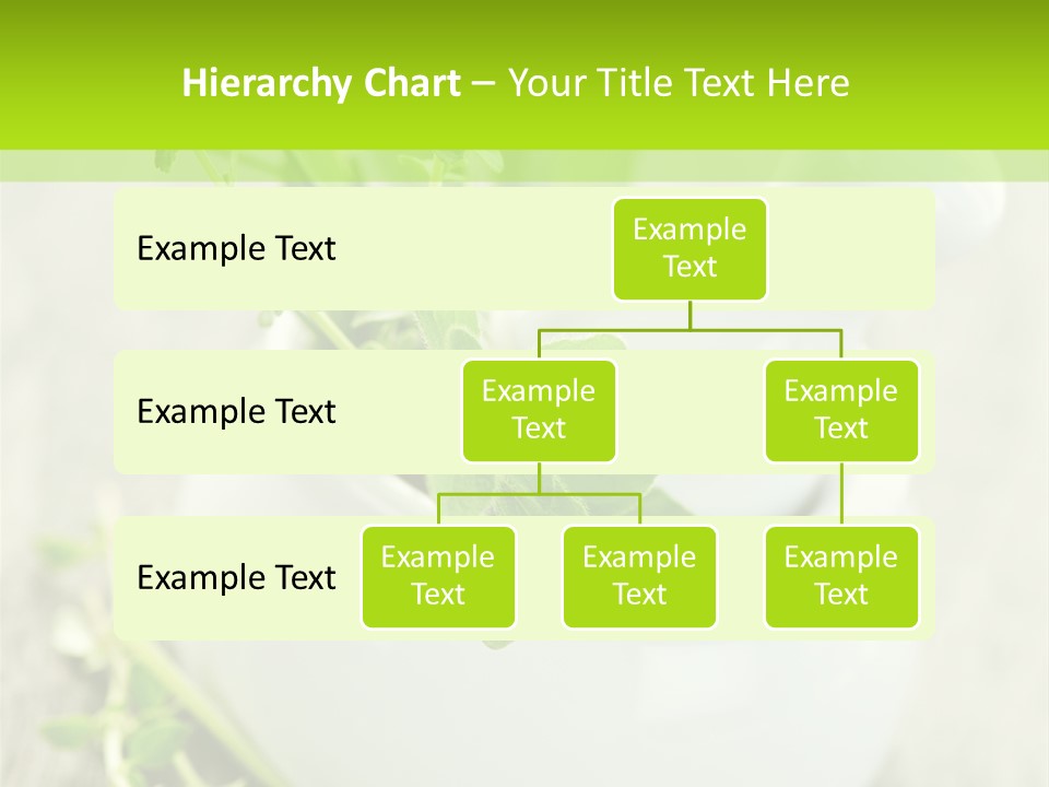 A Mortar With A Sprig Of Herbs In It PowerPoint Template