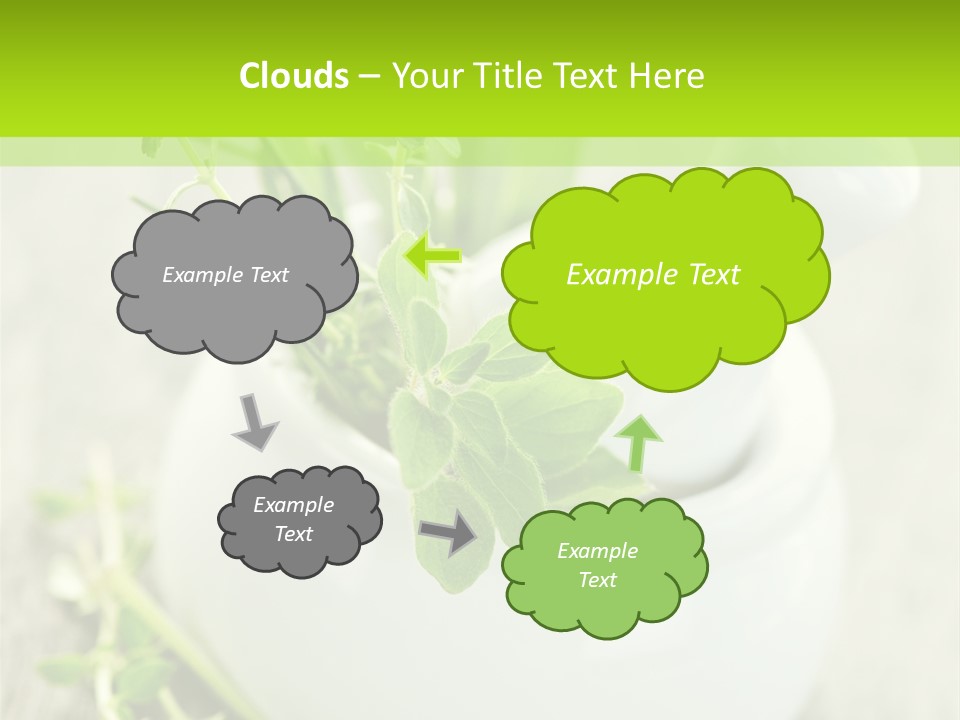A Mortar With A Sprig Of Herbs In It PowerPoint Template