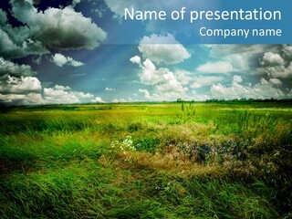 Beautiful Nature PowerPoint Template