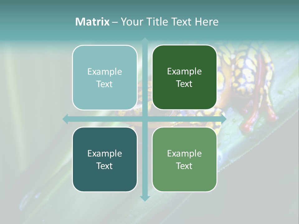 Poison Dart Frog PowerPoint Template