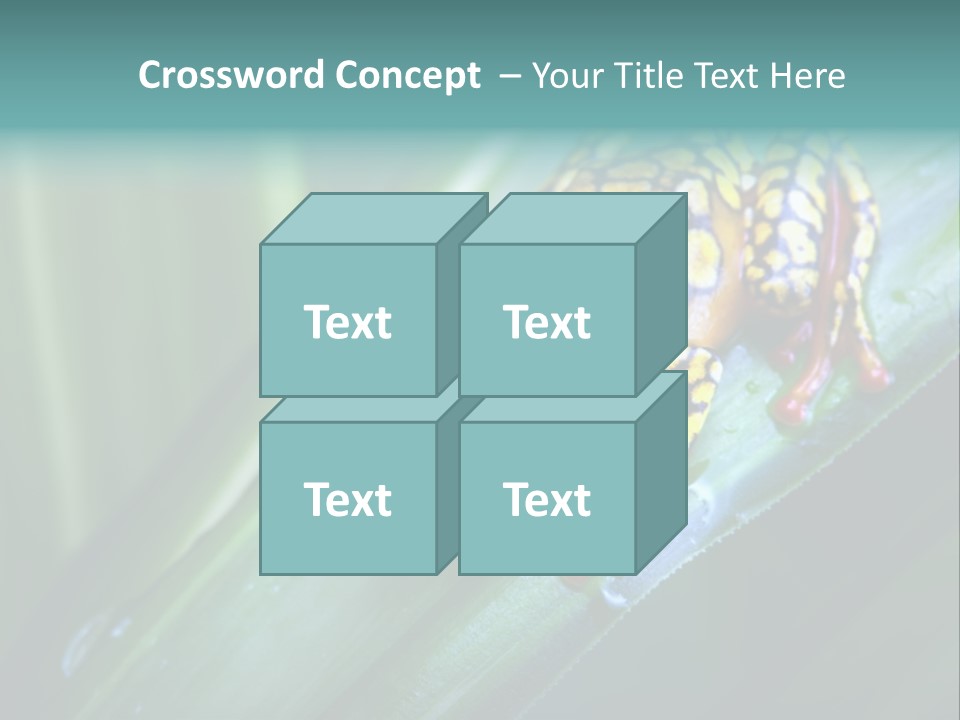 Poison Dart Frog PowerPoint Template