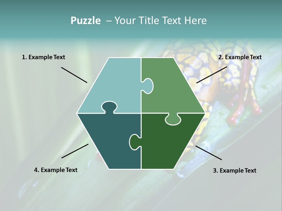 Poison Dart Frog PowerPoint Template