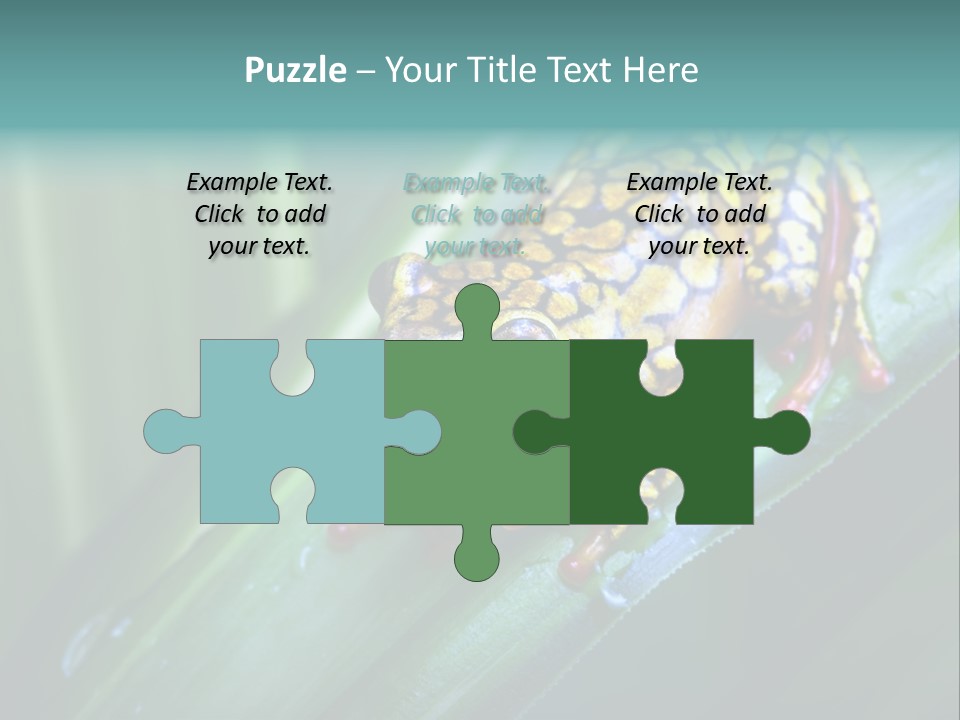 Poison Dart Frog PowerPoint Template