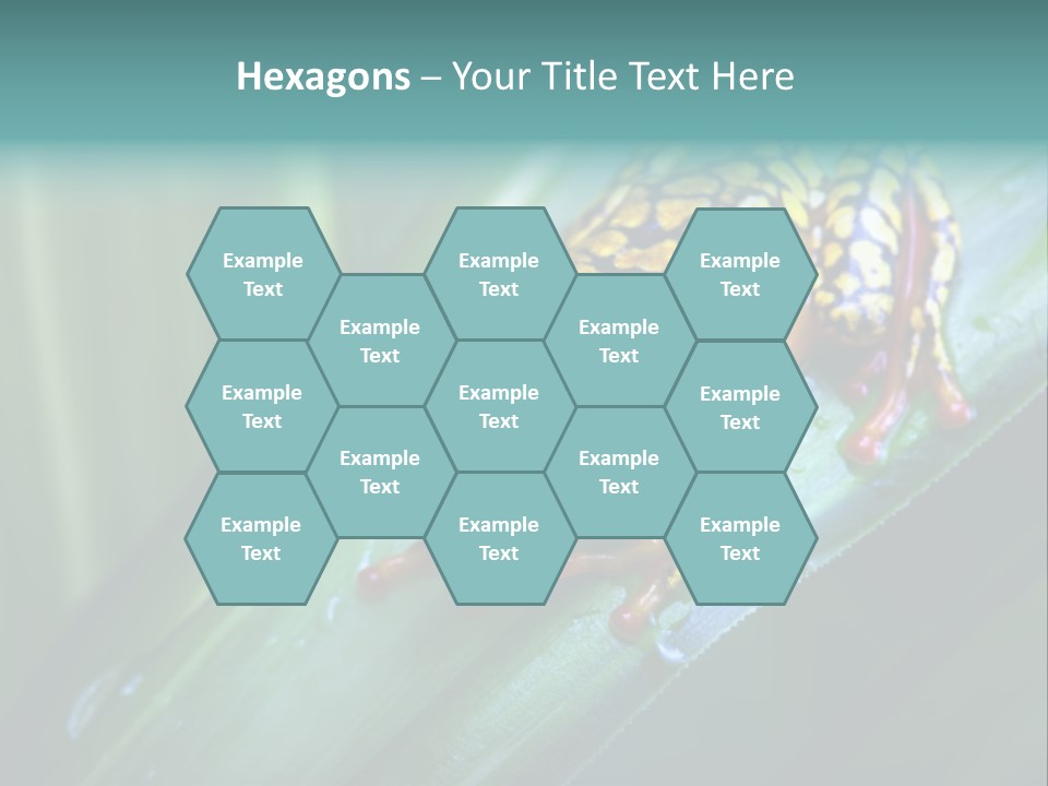 Poison Dart Frog PowerPoint Template