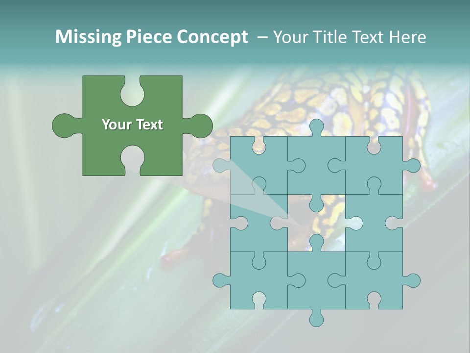 Poison Dart Frog PowerPoint Template