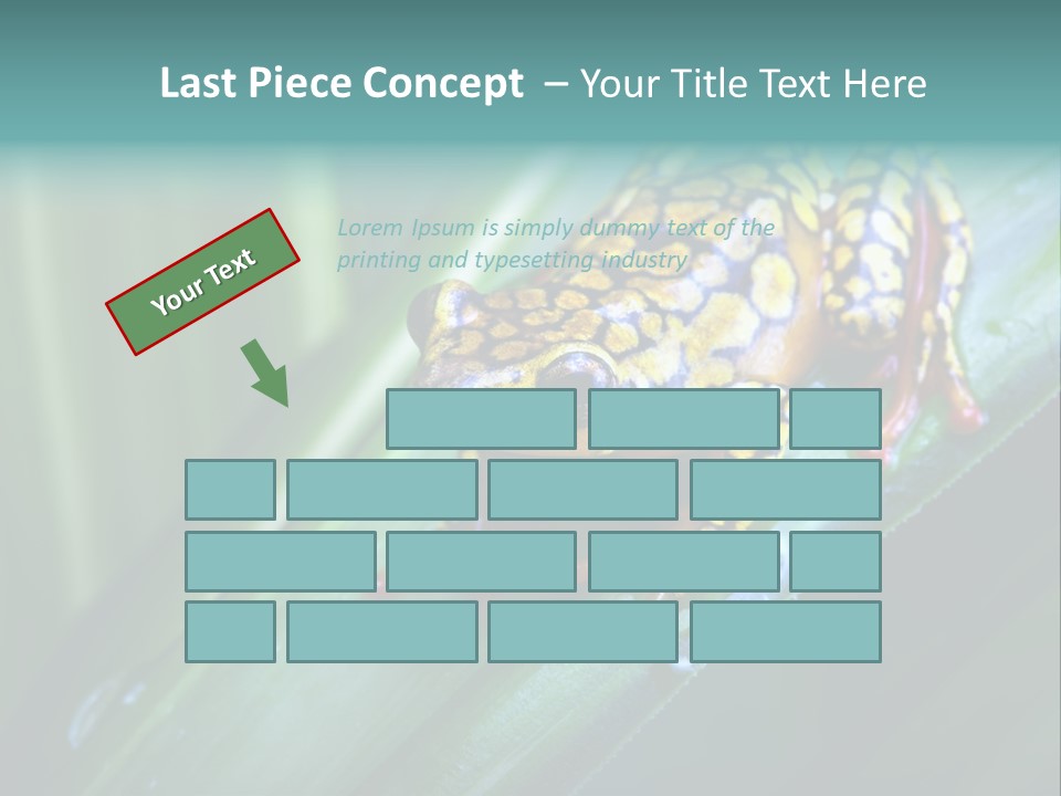 Poison Dart Frog PowerPoint Template